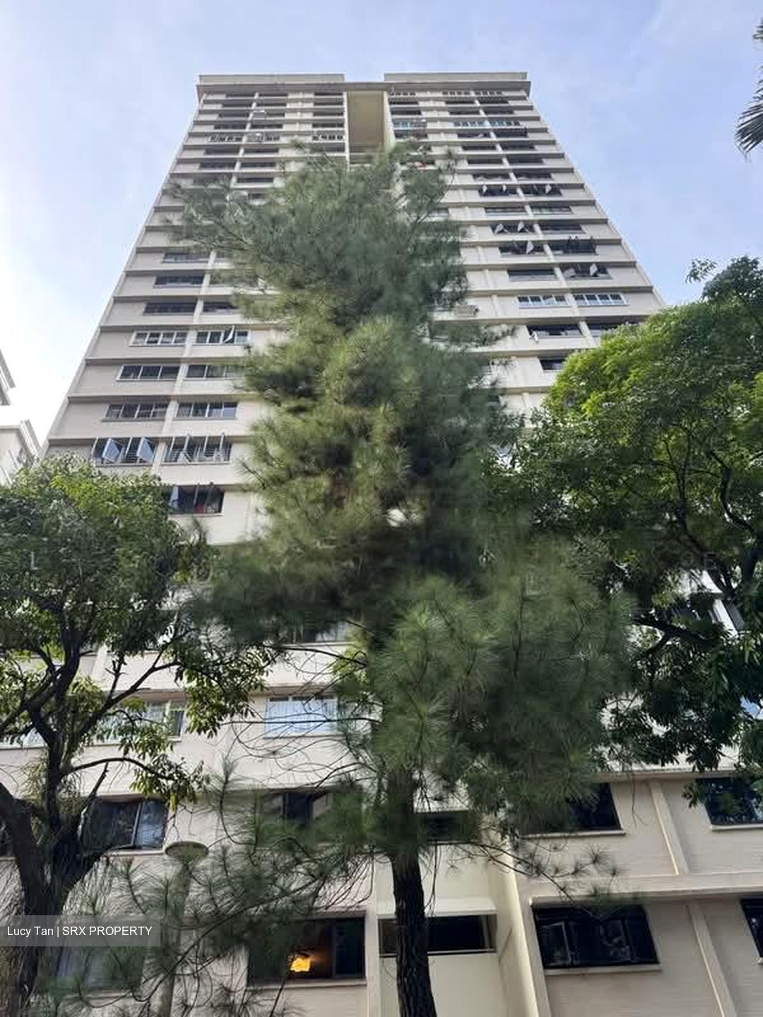 Blk 13 Dover Heights (Queenstown), HDB 5 Rooms #601301921